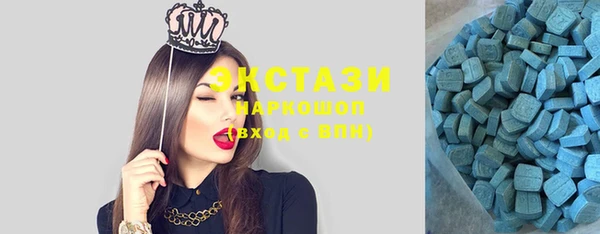 ECSTASY Алзамай