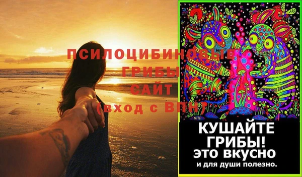 ECSTASY Алзамай