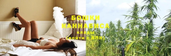 ECSTASY Алзамай