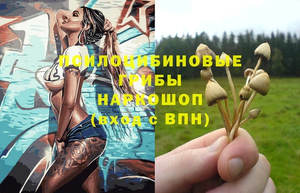ECSTASY Алзамай