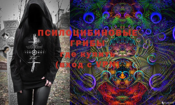 ECSTASY Алзамай