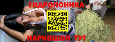 прущие крисы Кимры