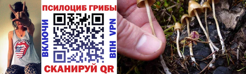 это как зайти  Лабытнанги  Псилоцибиновые грибы мицелий 