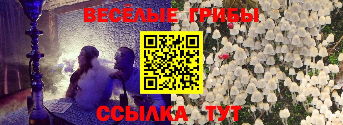Псилоцибиновые грибы GOLDEN TEACHER  Галлюциногенные грибы мицелий  Вход с VPN  Лабытнанги 