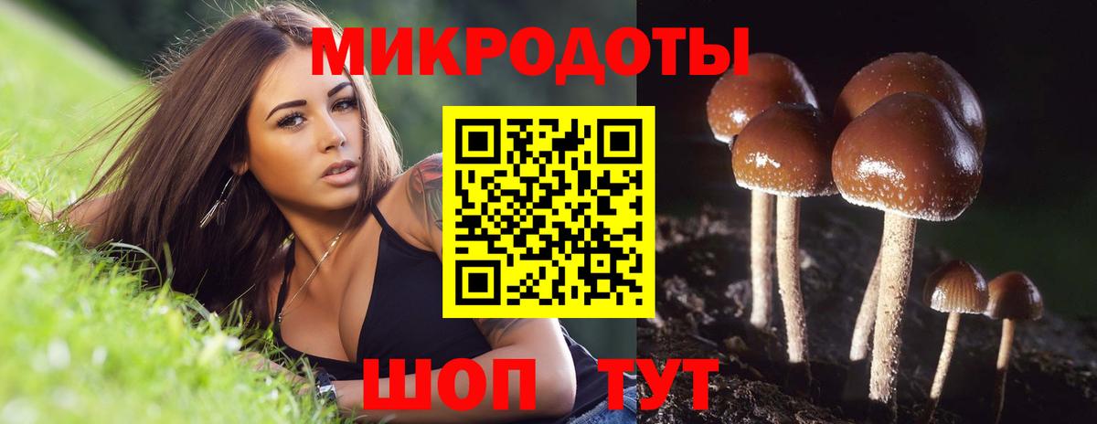 Галлюциногенные грибы ЛСД Лабытнанги